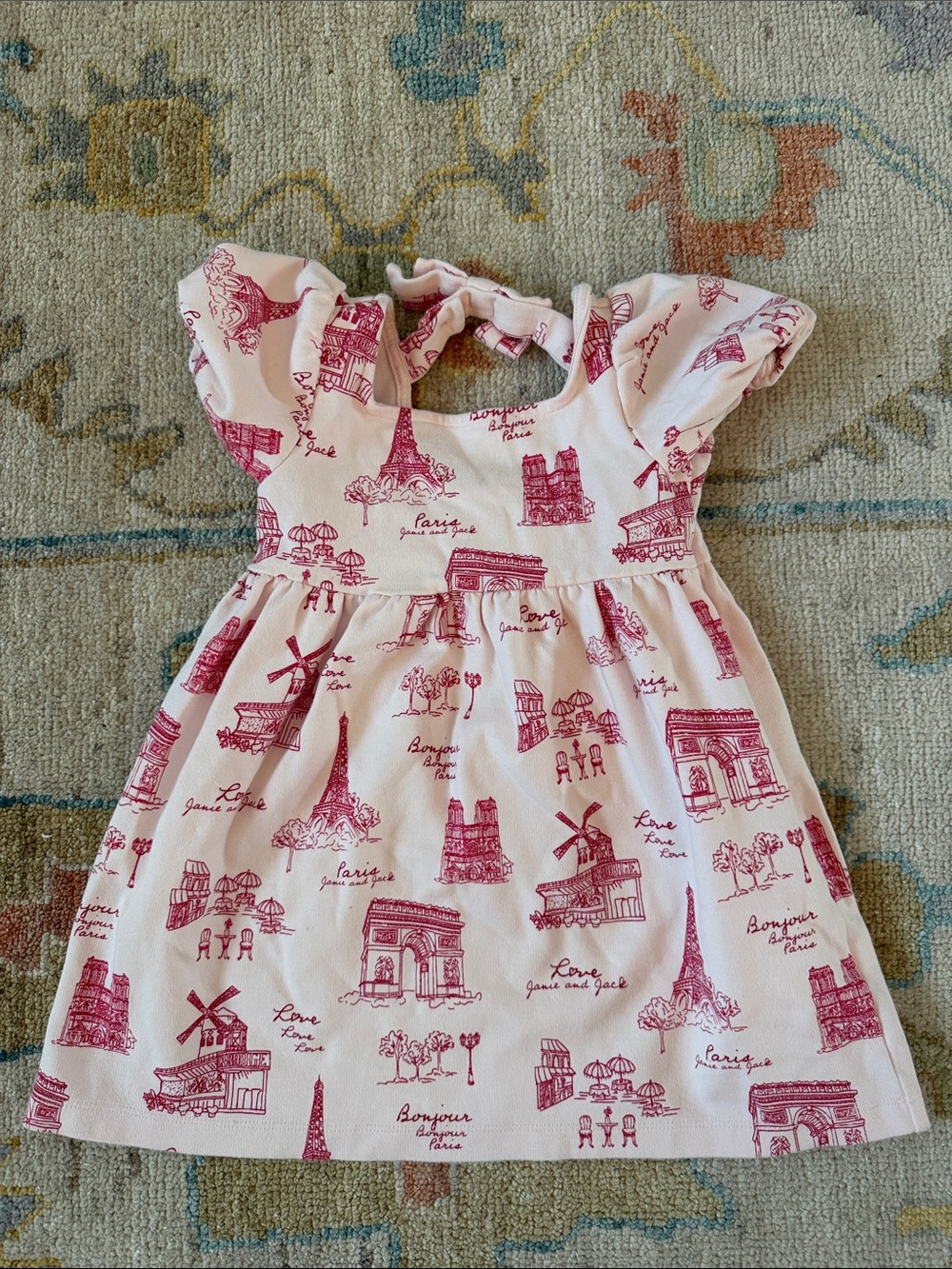 Janie and Jack Pink Dress with Red Print